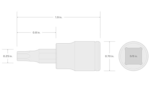 TEKTON 3/8 Inch Drive x TR15 Tamper-Resistant Torx Bit Socket | SHB17215 - size: TR15