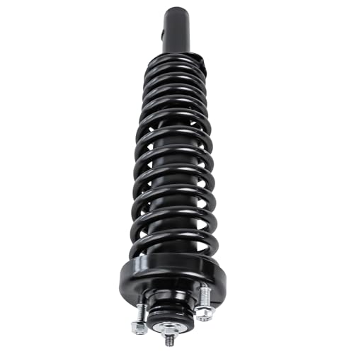 Detroit Axle - 2 Front Struts for 1996-2000 Honda Civic, 1997 1998 1999 Quick Complete Struts w/Coil Spring Assembly Replacement Suspension Shock - size: 171291L_171291R/PAIR