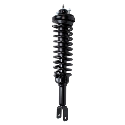 Detroit Axle - 2 Rear Ready Struts for 1996-2000 Honda Civic 1997-2000 EL, Complete Struts & Coil Spring Assembly 1998 1999 Replacement Quick Install Ready Struts Shocks - size: 171292 x2/PAIR