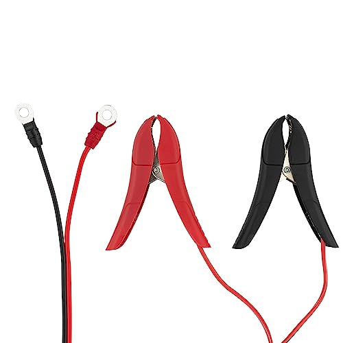 DS18 INF-C6A 6V/12V Car Battery Charger, Portable Automatic Smart Lithium and AGM Battery Trickle Charger & Maintainer 6A for Car Truck Motorcycle Lawn Mower Boat Marine Lead Acid Batteries