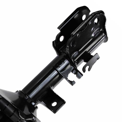 Detroit Axle - AWD Front Struts for 2002 2003 2004 Nissan Pathfinder Complete Struts with Coil Spring Assembly Replacement - size: 171441_171442/PAIR