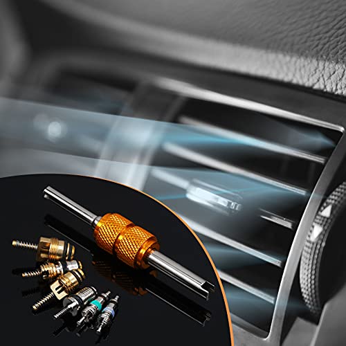 Frienda 56Pcs R134a R12 AC Valve Core Quick Remover Installer Tool Kit, Universal Automotive Air Conditioning Valve Stem Cores Brass Replacement Assortment for Car Refrigeration Tire