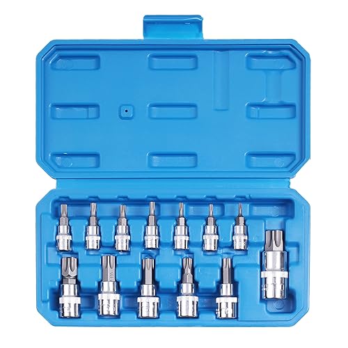 Qnkaa Torx Bit Socket Set 13pcs 3/8" Dr. T8 - T70 E Star S2 Alloy Steel | Premium Cr-V Steel Star Socket Torx Bits Metric 1/4, 3/8 and 1/2-Inch Drive