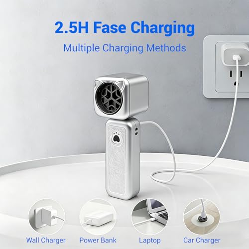 Compressed Air Duster, 2000mAh Battery with Up to 2 Hours of Run Time, 4-in-1 Multifunctional Design, Dust Blower for Computers, Keyboards, Home, Outdoor Use, and Cars(Silver) - color: Silver