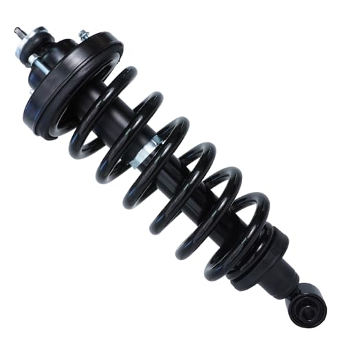 Detroit Axle - 2 Rear Struts for 2006-2010 Ford Explorer Mercury Mountaineer, Complete Struts & Spring Assembly 2007 2008 2009 Replacement Quick Install Ready Struts Shocks - size: 171125 x2/PAIR