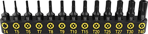 LEXIVON 13-Piece Tamper Resistant Star Bits, Premium S2 Alloy Steel, T4 - T40 | Impact Grade Security Torx Bit Set, 1/4-inch Hex Shank (LX-301)