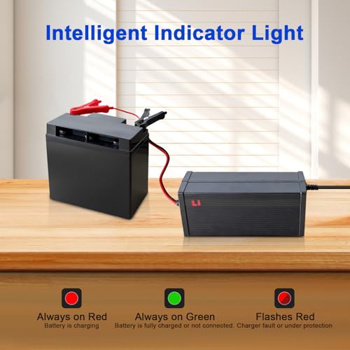 24V Lithium Battery Charger 29.2V 10A LiFePO4 Battery Charger for Lithium Iron Phosphate Battery, AC-DC Smart Charger, Battery Maintainer, Built-in Safety Protections, Support 0V Charging Function - color: 29.2V 10A