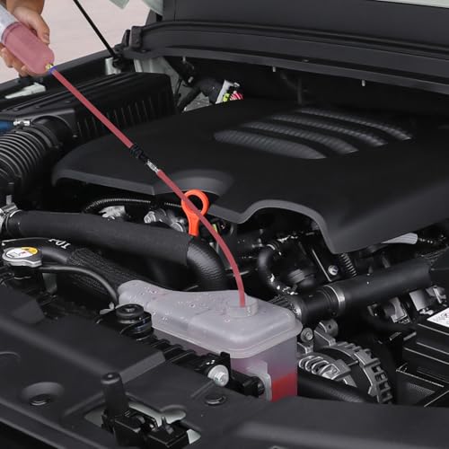 Thorstone 200cc Fluid Extractor Pump with 60cm Hose | Manual Oil Change Syringe with 60cm Rubber Hose and 2pcs 22cm PVC Tubes for Fluid Transfer - size: 200cc(60cm)