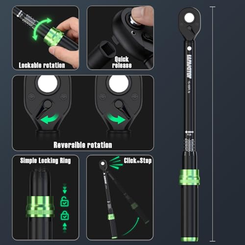 Torque Wrench Set, 1/4 3/8 1/2 Drive 41-Piece Kit with Sockets & Extensions, ±3% Accuracy Dual Scale, CR-V Steel, 72-Tooth Ratchet for Auto, Bike, Moto Repair & Industrial
