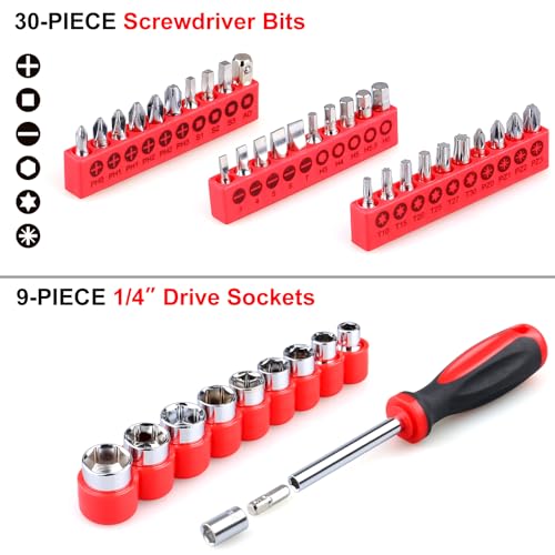WINNER 175-Piece Multi-Purpose Automotive and Household Tool Kit in Toolbox Storage Case, Perfect for General Home and Auto Repairs, House DIY Project, Garage, Car, Travel Emergency, Father's Day Gift