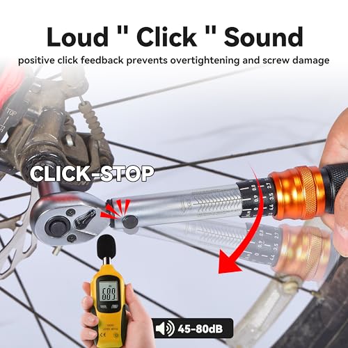 Bike Torque Wrench Set, 1-25 Nm, 45-Piece Kit with 1/4" Drive Click Ratchet Wrench and Bits
