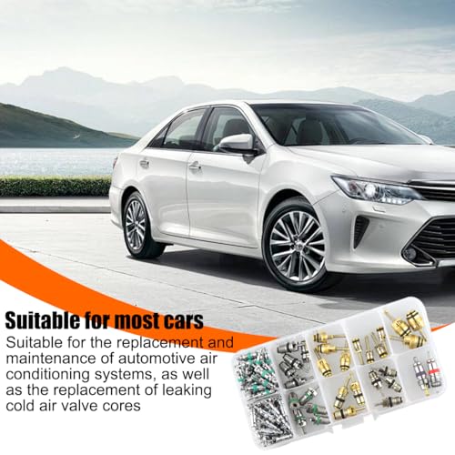 HZEL 102PCS Car Air Conditioning Valve Core Accessories Kit, R12 R134a Vehicle A/C Refrigeration Tire Valve Stem with Remover Installer, Automotive Valve Spool Repair Tool Assortment Set