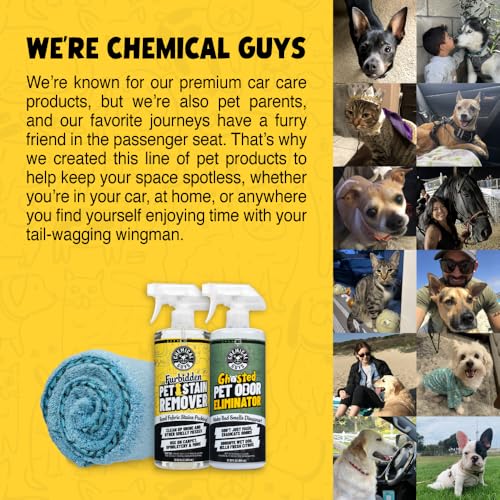 Chemical Guys Furbidden Pet Stain Remover for Car & Home, Carpet & Upholstery Cleaner, Eliminates Pet Odors & Stains from Urine & Vomit, Multi-Surface Pet Odor Neutralizer - 16 oz - size: 16 Fl Oz (Pack of 1)