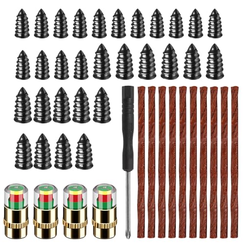 35PCS TireCar Tire Pressure Monitor Valve Stem Caps Sensor Indicator and Repair Plugs, Rubber Nail Kit and Gum Strips for Car Truck Motorcycle Emergency Repair