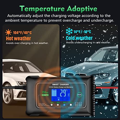 25 Amp Lithium Battery Charger, 12V and 24V Lifepo4,Lead-Acid(AGM/Gel/SLA..) Battery Charger,Battery Maintainer, Trickle Charger, and Battery Desulfator for Car,Boat,Motorcycle, Lawn Mower.