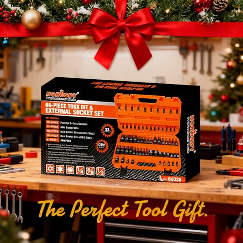 HORUSDY 66-Piece Allen Socket Set, Torx Bit & Female External Star Sockets | Durable S2 Steel SAE & Metric Kit for Automotive, Motorcycle & Home Repair | T8-T70, E4-E24 with 4 Impact Adapters - style: 66PC Torx & Hex Set