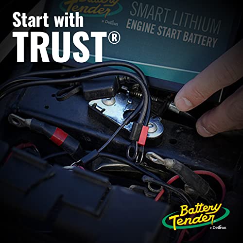 Battery Tender Ring Terminal Harness Accessory Cables 25 Pack - 18 inch Cord Adapter with SAE Quick Disconnect - Easy Quick Convenient for Motorcycles, Cars, ATVs and More - 081-0069-6-J25 - style: 25 Pack