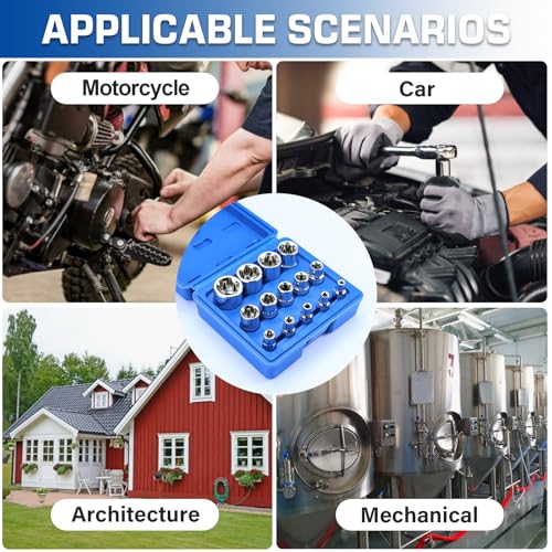 14-Piece Female E-Torx Socket Set, E4-E24 External Star Sockets, 1/4" 3/8" 1/2" Drive, High-Strength Cr-V Steel, Compatible with Regular & E-Torx Plus, Automotive Repair Tool Kit with Storage Case