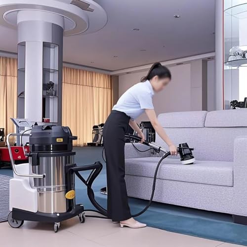 Commercial Carpet Cleaner Machine, Portable Carpet Cleaner Machine, Extractor Vacuum Washing Machine, Heavy Duty Wet Dry Carpets Cleaner Machine for Rugs Couch Curtain Car Detailing Deep Cleaning(40L) - size: 40L