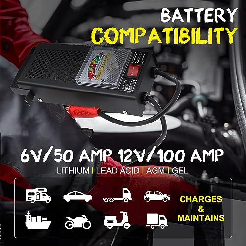 Yaegoo Car Battery Tester and Voltage Tester, Automotive Battery Load Checker 12V 100A / 6V 50A