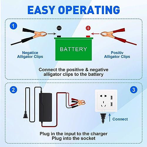12V 3A Lithium Battery Charger 14.6V LiFePO4 Battery Charger, Battery Maintainer, Smart Charger with LED Indicator Cooling Fan for 12.8V Lithium Iron Phosphate Battery