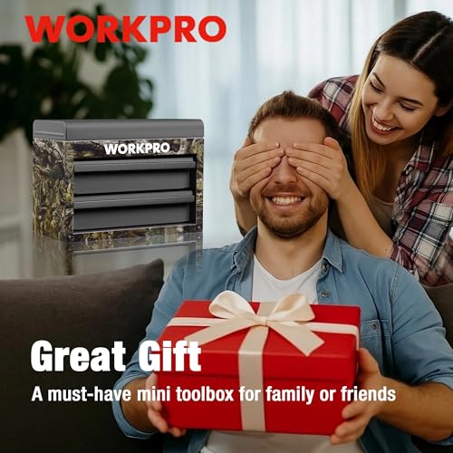 WORKPRO Metal Mini Tool Box with 2 Drawers and Top Storage | Cold Rolled Steel Toolbox, Ball Bearing Slides, PVC Drawer Liners, PP Feet Pads, Durable Storage - color: Green Camo