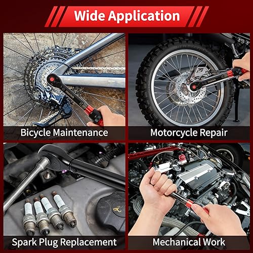 Hairich 1/4-Inch Torque Wrench, Dual-direction Small Torque Wrench 20-220in.lb/2.3-24.9Nm, 72 tooth High Precision Professional with Dual Range Scales | 72 tooth High Precision Professional with Dual Range Scales,Dual-direction Small Torque Wrench - size: