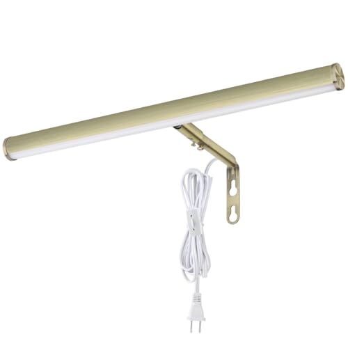 LED Picture Lights for Paintings Plug in, Antique Brass Finish | 14 Inch 4W Adjustable Art Light Gallery Wall Light for Display Art Work, CRI90+, 3000K Warm White, ETL Listed - color: Antique Brass, size: 14 inch