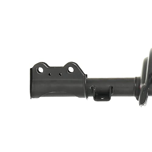 Detroit Axle - Front Struts w/Coil Spring Assembly Replacement for 2010 2011 2012 2013 2014 2015 2016 Cadillac SRX - 2pc Set - size: 172909x2/Pair