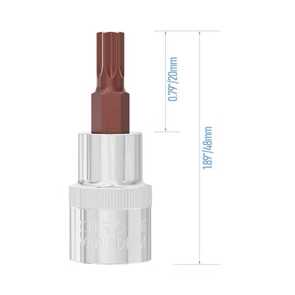 2PCS 3/8" Drive T30 Torx Bit Socket, S2 Steel Bits, Heat Treated CR-V Steel Star Sockets 1.9" Length - size: T30