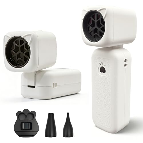 Compressed Air Duster, 2000mAh Battery with Up to 2 Hours of Run Time, 4-in-1 Multifunctional Design, Dust Blower for Computers, Keyboards, Home, Outdoor Use, and Cars（White） - color: White