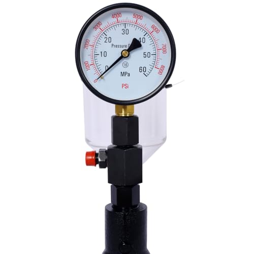 Diesel Injector Tester, Professional Fuel Injector Nozzle Tester for Tractors, Fuel Pressure Tester with Dual Scale Gauge, Precise Diesel Compression Tester, Complete Accessory Kit (400Bar/6000PSI) - size: 400Bar/6000PSI