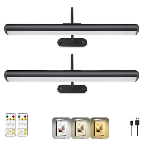 Set of 2 Picture Lights with Timer Dimmer, Painting Light with Remote Rechargeable Battery ,Wall Art 3 Lighting Colors Temps,16inch Full Metal Over Picture Painting Frame Dartboard Gallery Hallway - color: Black, size: 16inch Gooseneck 2-Pack