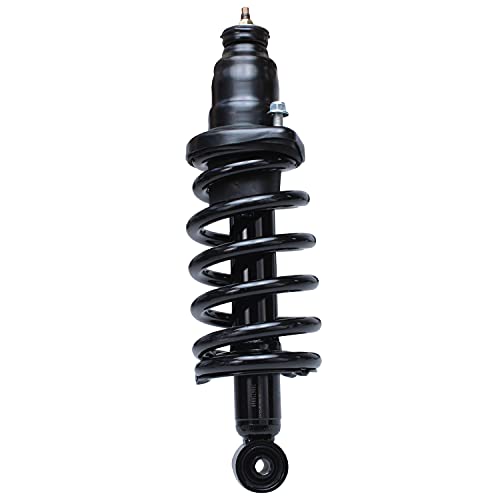 Detroit Axle - Rear 2pc Struts for 2003-2011 Honda Element, 2 Struts w/Coil Spring Assembly 2004 2005 2006 2007 2008 2009 2010 Replacement Suspension - size: 171101L_171101R/PAIR