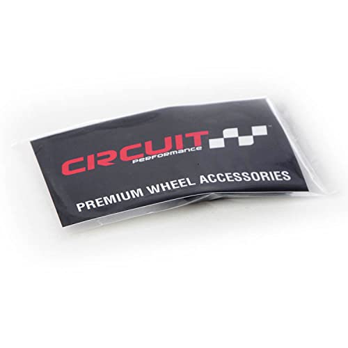 Circuit Performance Large Black 6 Point Spline Truck SUV Tool Key