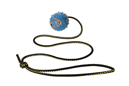 Dingo Fetch Ball Made of Hard Rubber with Knobs and String, Small, for Aport Game Dog Training 17321 - size: us4/100cm