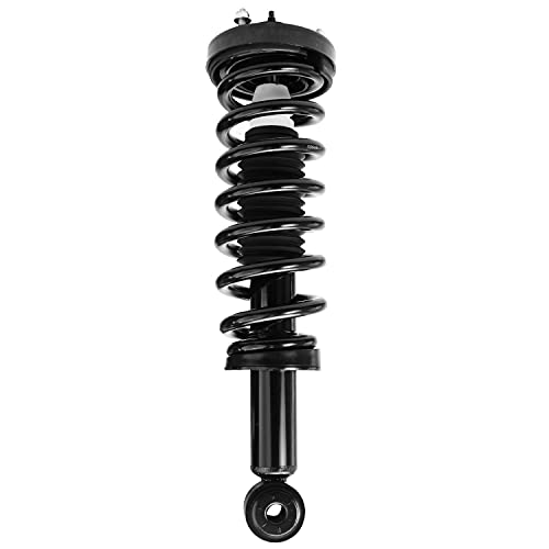 Detroit Axle - 2 Front Struts for 2004-2008 Ford F-150, 06-08 Lincoln Mark LT Complete Struts with Coil Spring 2005 2006 2007 Replacement Quick Install Ready Strut Shock Assembly - size: 171362 x2/PAIR