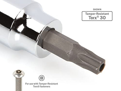 TEKTON 3/8 Inch Drive x TR20 Tamper-Resistant Torx Bit Socket | SHB17220 (Pack of 2) - size: TR20 (Pack of 2)