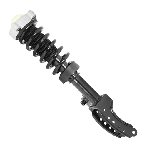Detroit Axle - Front Struts for Porsche Cayenne Audi Q7 Volkswagen Touareg, Complete Struts with Coil Spring Assembly Ready Strut Shock Replacement [Excludes Air and Electronic Suspension] - size: 11104_11105/Pair