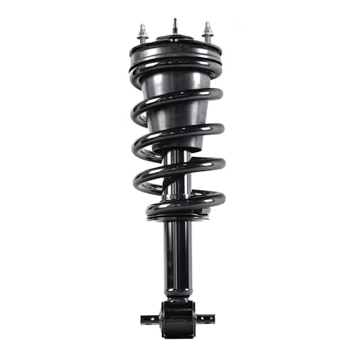 Detroit Axle - RWD Front Struts for 2014-2018 Chevrolet Silverado 1500 GMC Sierra 1500, 2019 Silverado 1500 LD Sierra 1500 Limited [Without Magnetic Ride Control Suspension], 2 Struts w/Coil Spring - size: 139112x2/PAIR