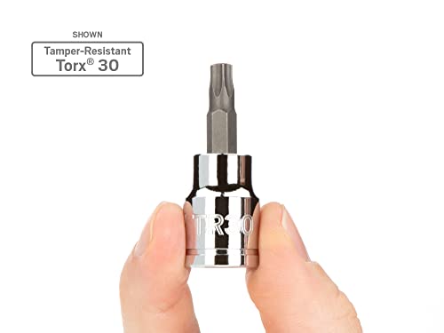TEKTON 3/8 Inch Drive x TR20 Tamper-Resistant Torx Bit Socket | SHB17220 (Pack of 2) - size: TR20 (Pack of 2)