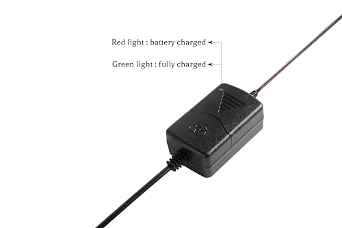 2Pc 12V 1000mA Automatic Battery Charger, Maintainer, Trickle and Desulfatorr with Short Circuit Protection…