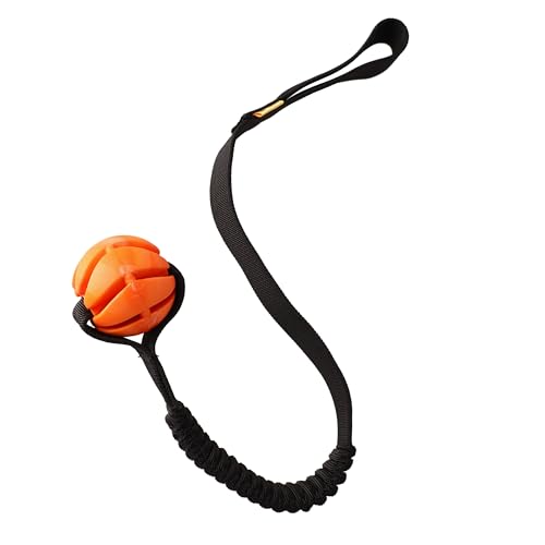 Dingo Dog Ball with Bungee Handle, Natural Rubber, Assorted Colors - size: Ball with bungee