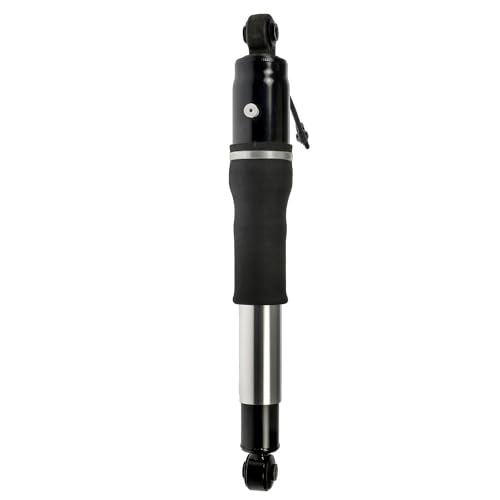Detroit Axle - 4pc Front Struts Rear Shocks Kit for 15-19 Chevy Tahoe Suburban GMC Yukon Cadillac Escalade ESV, 2 Struts with Coil Spring 2 Shock Absorbers 2015 2016 2017 2018 2019 Replacement - size: 4AQ47996/ Big strut kit