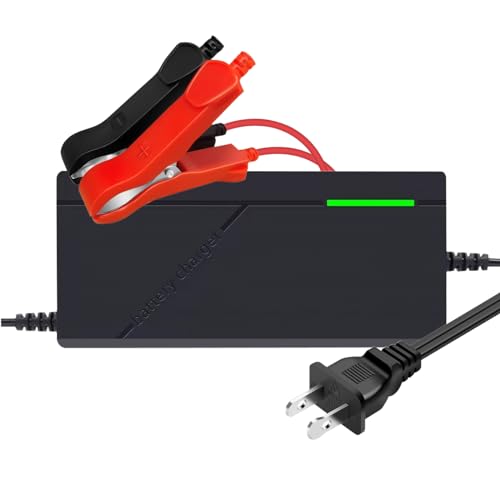 12V 3A Lithium Battery Charger 14.6V LiFePO4 Battery Charger, Battery Maintainer, Smart Charger with LED Indicator Cooling Fan for 12.8V Lithium Iron Phosphate Battery