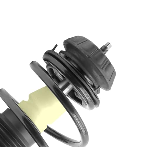 Detroit Axle - 2 Front Struts for 2018 2019 2020 2021 Hyundai Accent Kia Rio, Quick Strut with Coil Spring Assembly Replacement Quick Complete Struts Shocks Suspension - size: 13063_13064/Pair