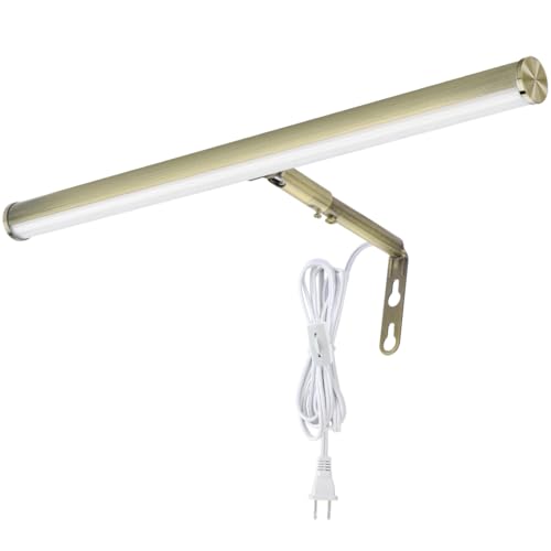 LED Picture Lights for Paintings Plug in, Antique Brass Finish | 16inch 6W Adjustable Art Light Gallery Wall Light for Display Art Work, CRI90+, 3000K Warm White, ETL Listed - color: Antique Brass, size: 16 inch