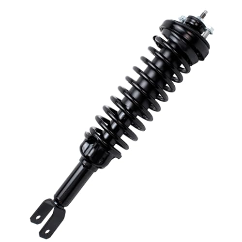 Detroit Axle - 2 Rear Ready Struts for 1996-2000 Honda Civic 1997-2000 EL, Complete Struts & Coil Spring Assembly 1998 1999 Replacement Quick Install Ready Struts Shocks - size: 171292 x2/PAIR