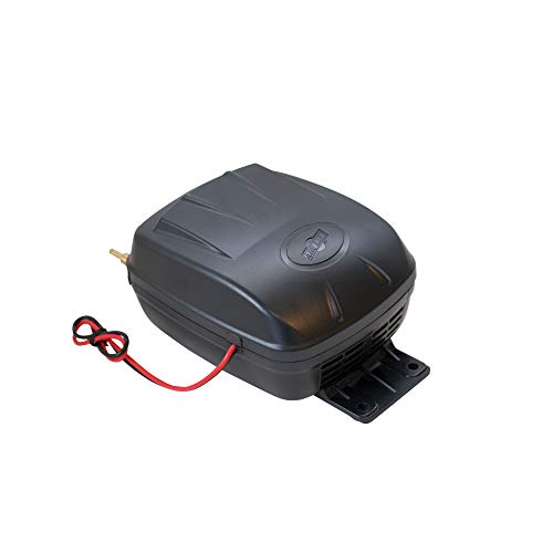 Air Lift 16060 Air Compressor silver, 12V