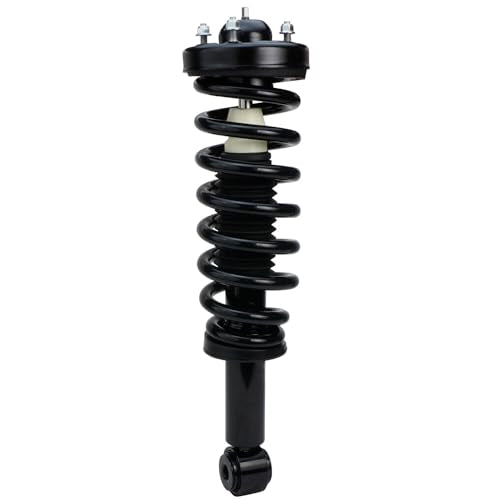 Detroit Axle - 2pc Front Struts for 2007-2013 Ford Expedition Lincoln Navigator, 2 Complete Struts & Coil Springs Assembly 2008 2009 2010 2011 2012 Quick Install Ready Strut Shock Assembly - size: 171138 x2/PAIR
